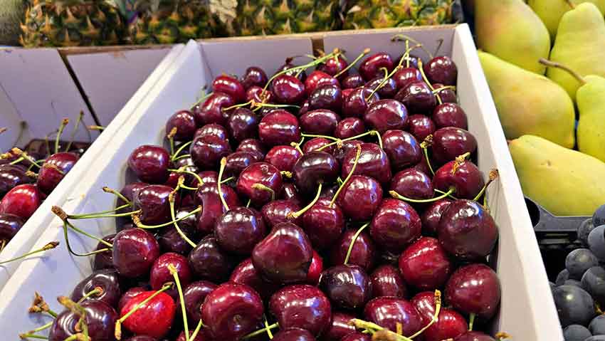 Whats App Image 2025 07 09 At 13.18.37