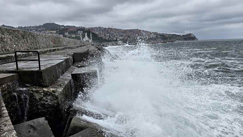 Whats App Image 2025 07 10 At 13.28.16 (1)