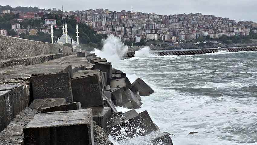 Whats App Image 2025 07 10 At 13.28.16 (2)