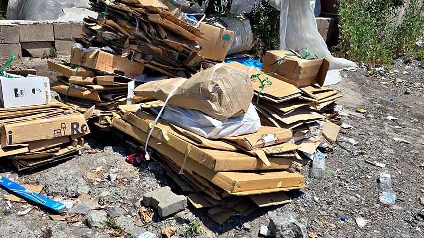 Whats App Image 2025 07 12 At 10.00.15