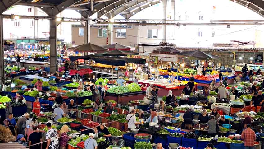 Whats App Image 2025 07 12 At 13.30.13