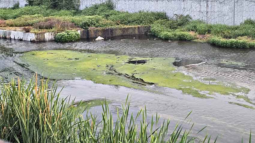 Whats App Image 2025 07 14 At 10.30.26 (1)