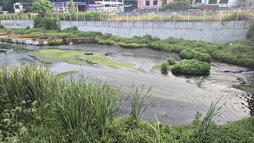 Whats App Image 2025 07 14 At 10.30.26