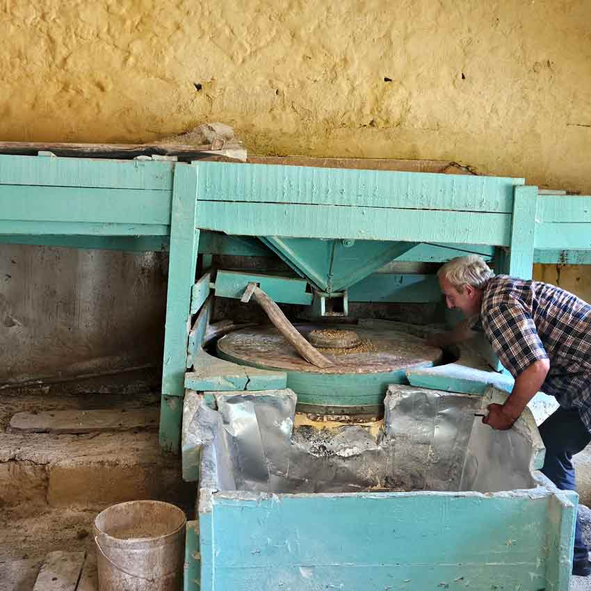 Whats App Image 2025 07 16 At 11.30.05 (1)