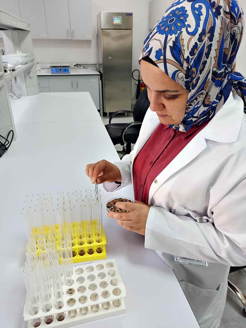 Whats App Image 2025 07 16 At 14.31.30 (3)