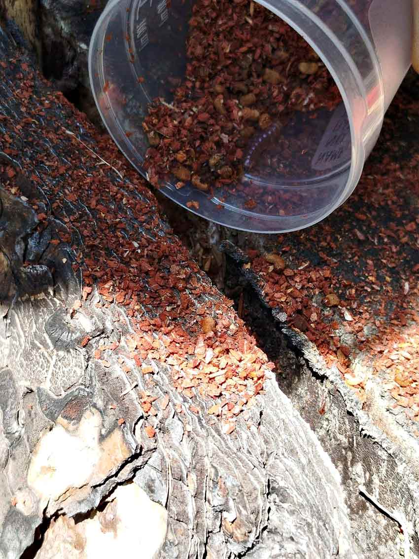 Whats App Image 2025 07 16 At 14.31.30 (4)