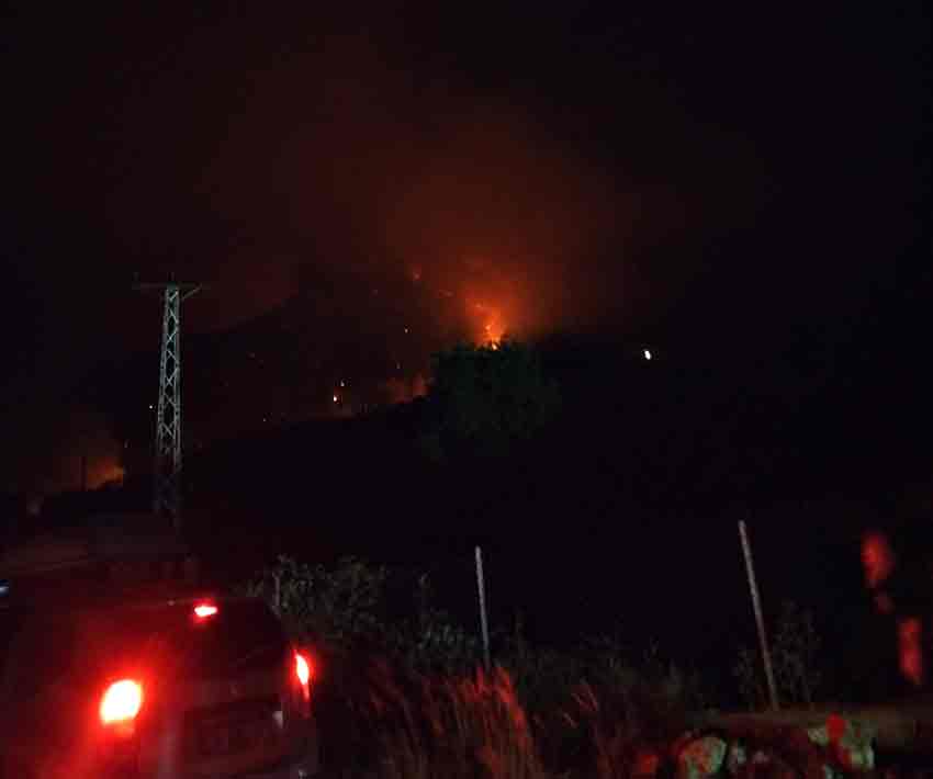 Whats App Image 2025 07 24 At 00.00.31