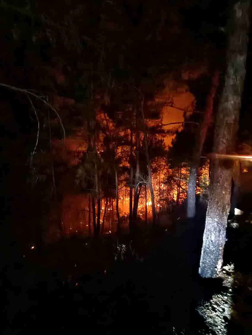 Whats App Image 2025 07 24 At 01.13.46