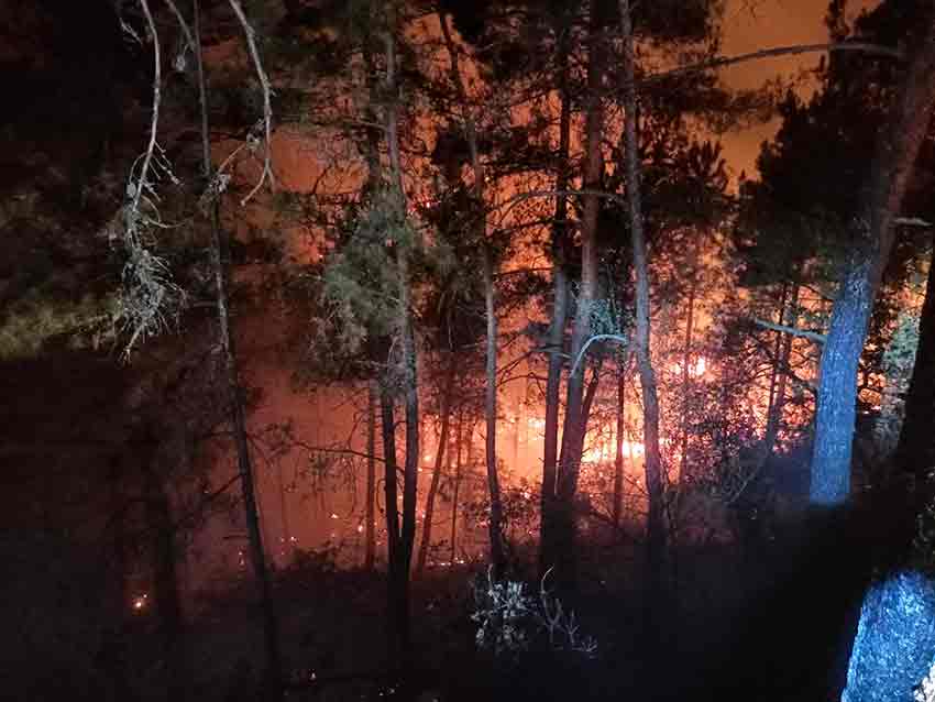 Whats App Image 2025 07 24 At 01.13.47