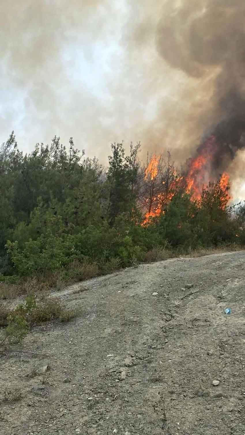 Whats App Image 2025 07 24 At 13.26.50 (2)