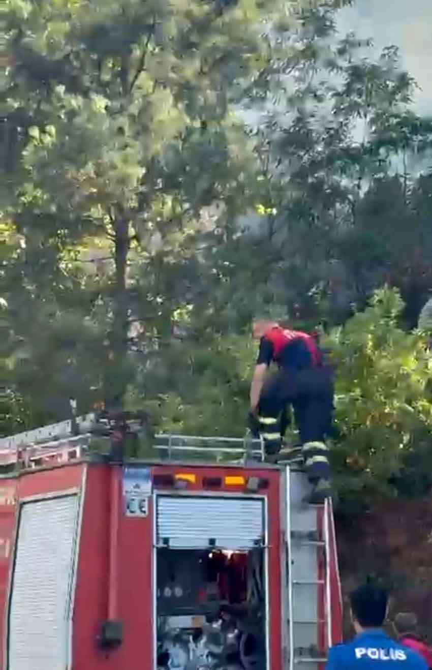 Whats App Image 2025 07 25 At 17.13.25