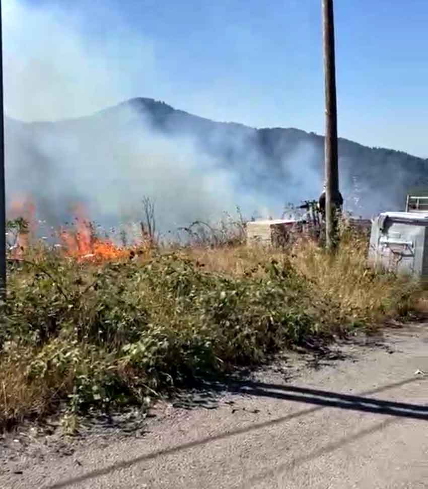 Whats App Image 2025 07 25 At 17.36.49 (2)