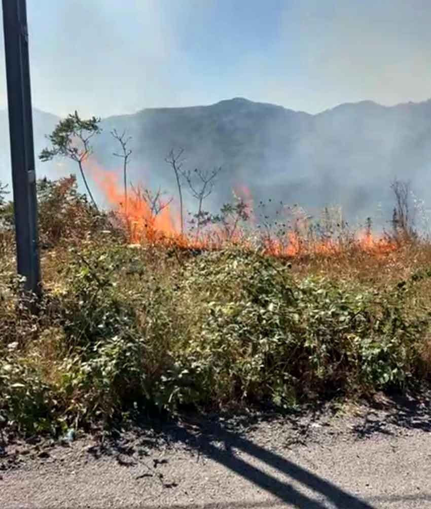 Whats App Image 2025 07 25 At 17.36.49