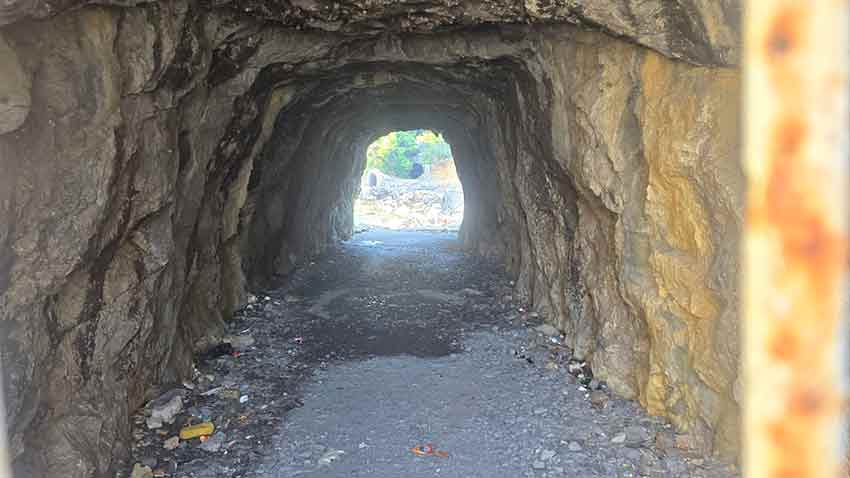 Whats App Image 2025 07 26 At 10.51.01 (2)