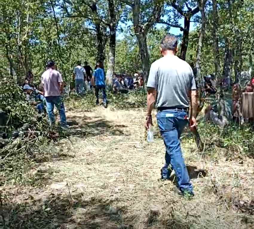 Whats App Image 2025 07 26 At 13.41.23