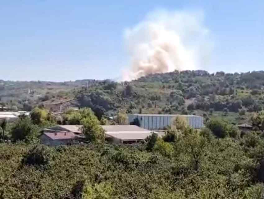 Whats App Image 2025 07 26 At 15.54.00-1