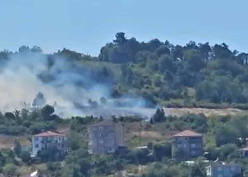 Whats App Image 2025 07 26 At 15.54.01-1