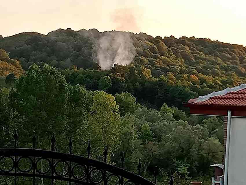 Whats App Image 2025 07 26 At 20.30.59