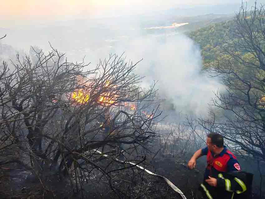 Whats App Image 2025 07 26 At 22.14.04 (1)