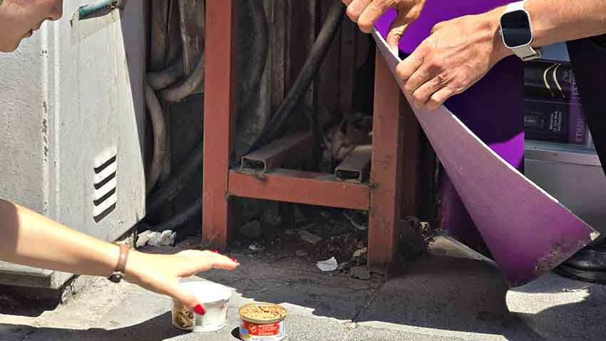 Whats App Image 2025 07 28 At 13.13.57