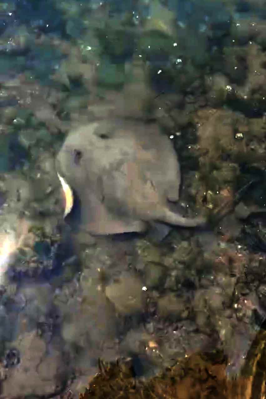 Whats App Image 2025 07 29 At 10.41.11