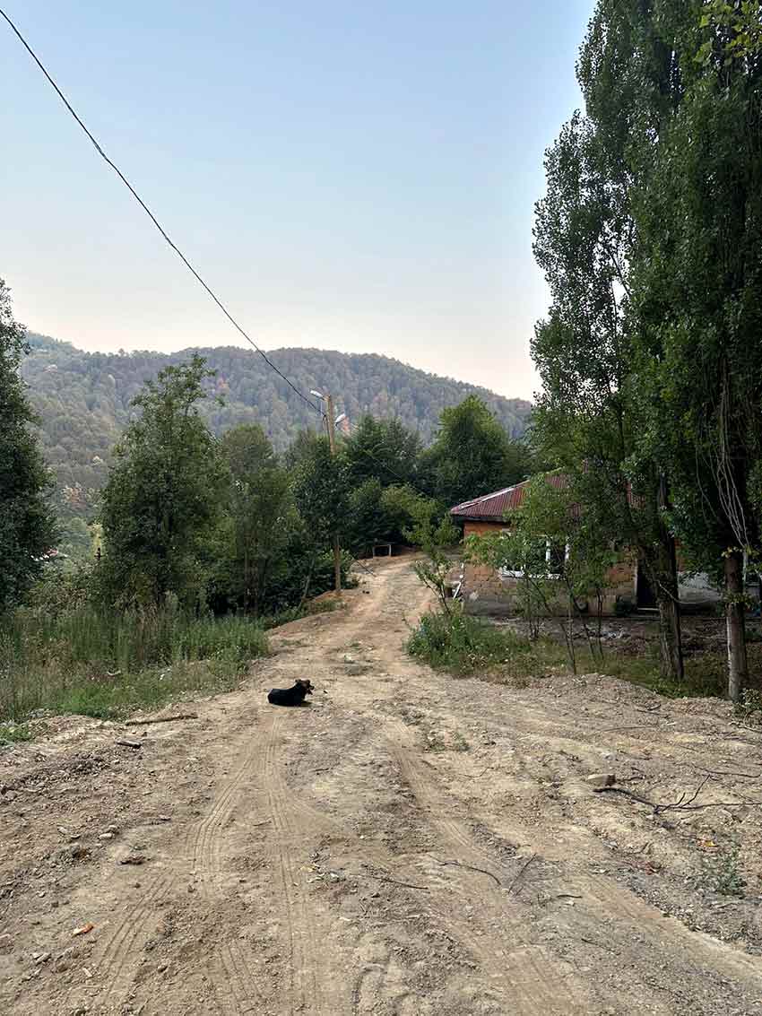 Whats App Image 2025 07 30 At 11.59.47