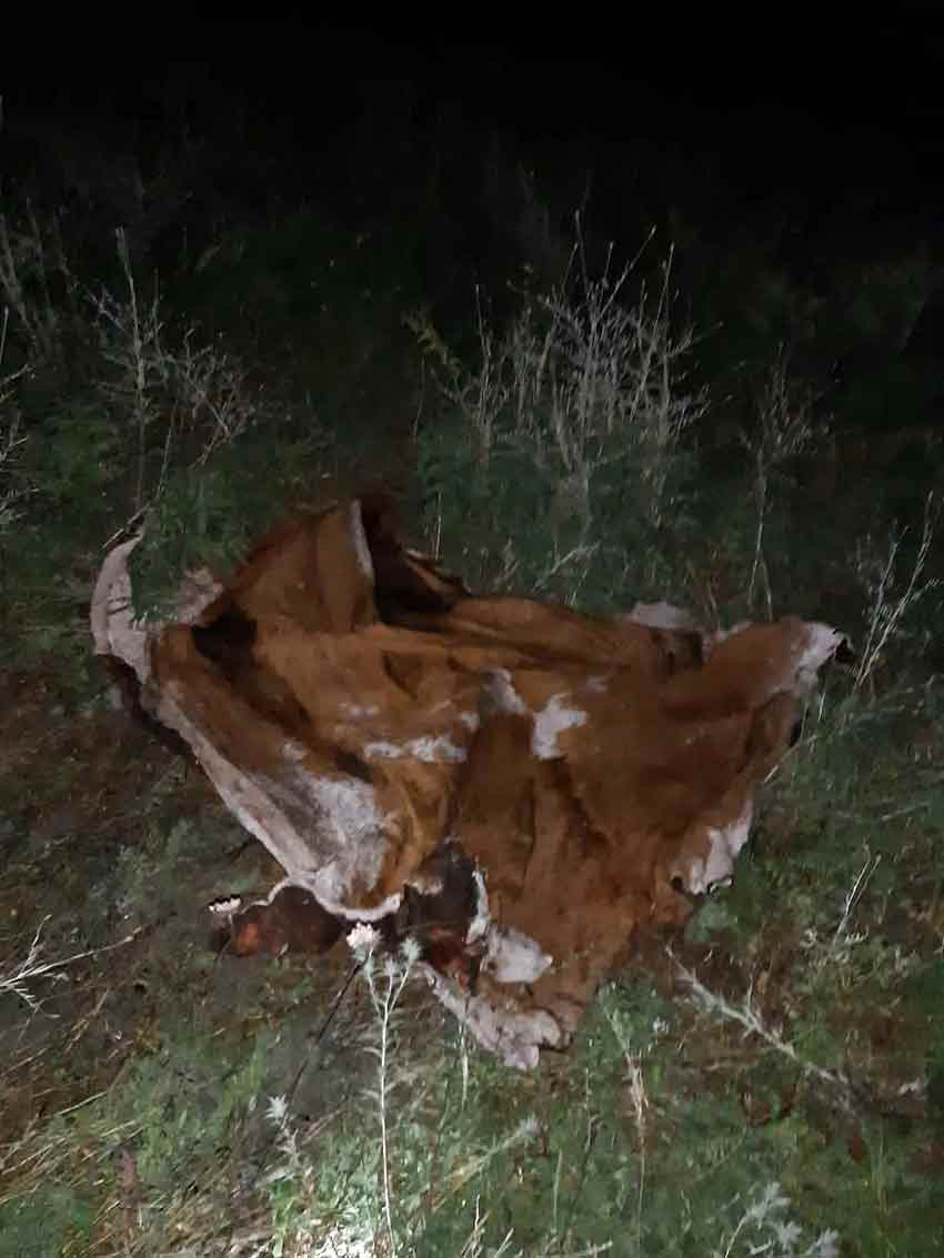 Whatsapp Image 2025 07 22 At 053512