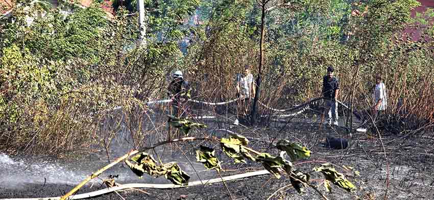 06493C66 F0E0 46C0 A0Cc 0B42Ba04A4C5