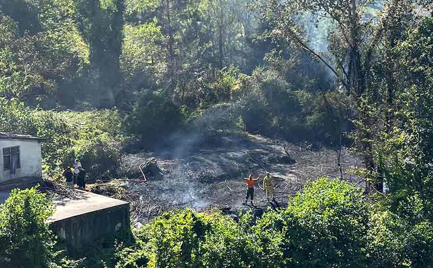 1E9E44C0 9510 414A B7D4 Adad2B39Df60