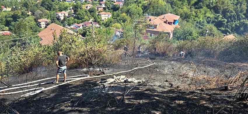 24503328 Fbe3 4098 84Bd C5A202Bab458