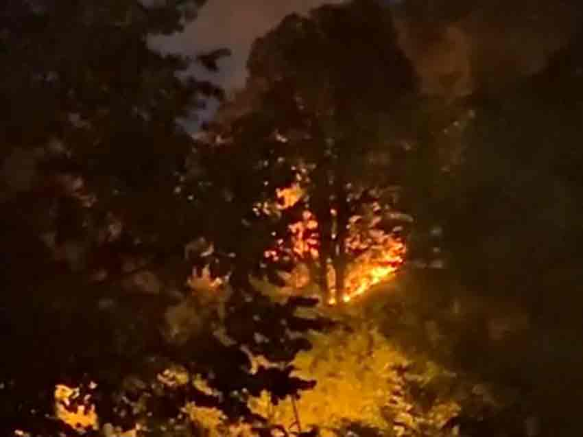 3F5923Fb 31C0 44C7 943C 7D9E8Bca9D68