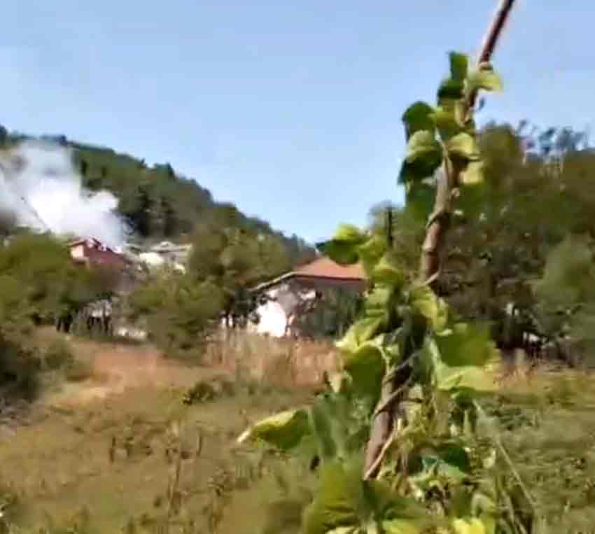 53A3B2Cd 108F 43Ac 8Ccc 3B47B4A62E2C