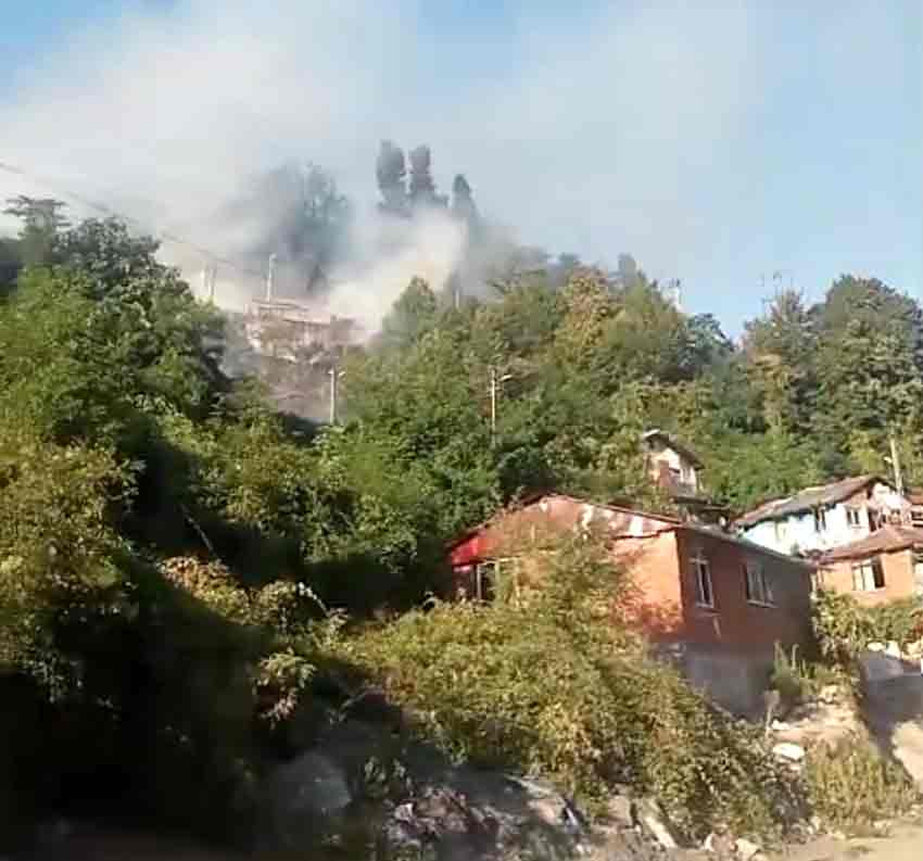 5C421E9C 3Ee4 4Fcd B31E 7Bc563824325