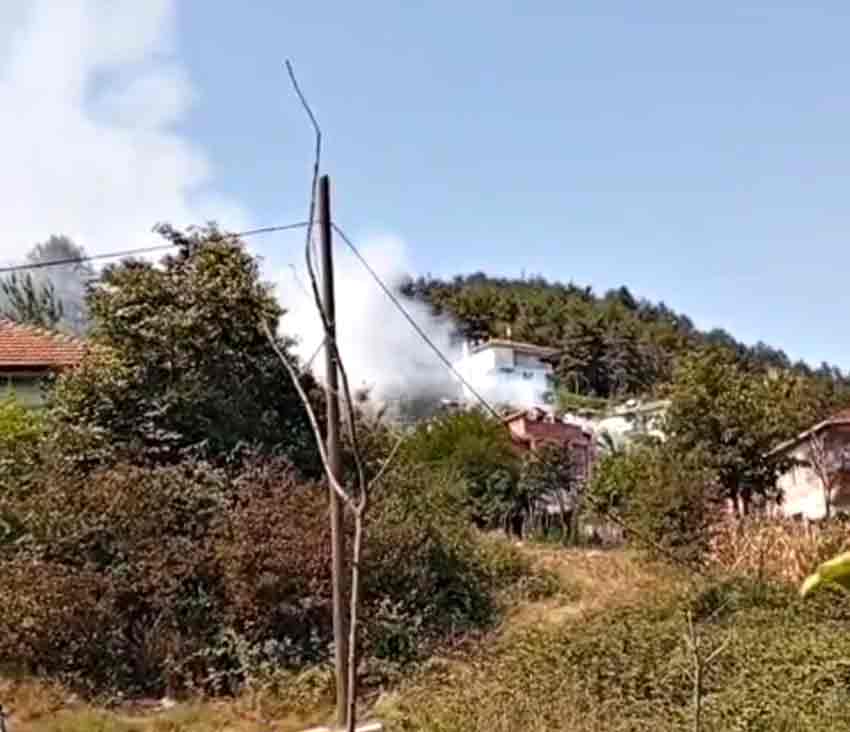 86C4Eede 8471 463E 85B5 415108007F8F