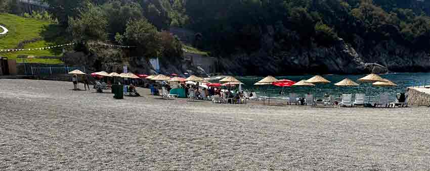 86E91818 8131 4278 970C 4004E9Ab58A1