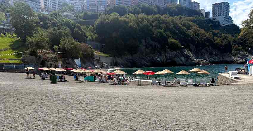 9192Fdc9 F729 42Eb 8361 6Fb7A80Fbe4B