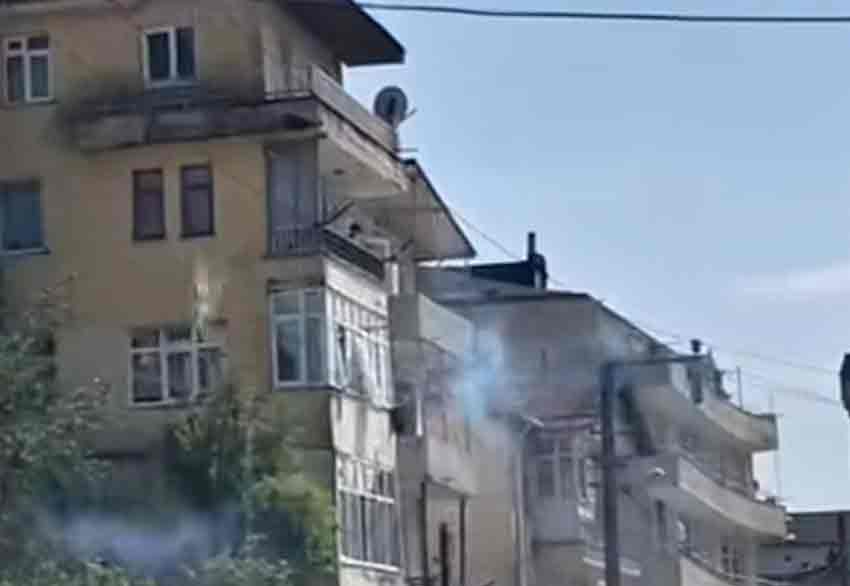 C5A2157D Aa94 410E 8E67 26204D0Dc22E