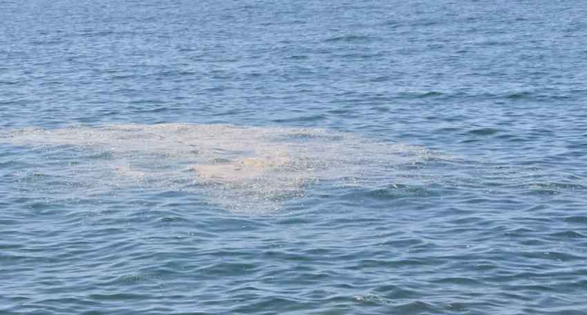 Denizde Kirlilik 03 08 2