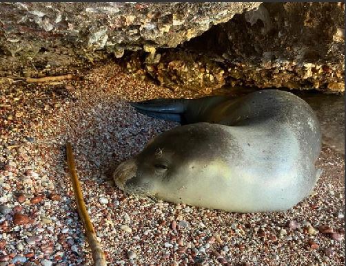 Ekran Alıntısı-31