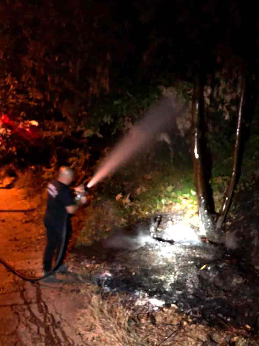 Fc39D64A Db33 4129 8913 1593Cf06Ddf7