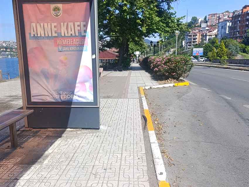 Gi̇zli̇ Tehli̇ke 1 (2)