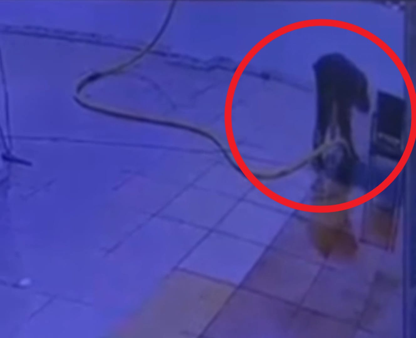 S U T A H L I Y E S I S I R A S I N D A A K I M A K A P I L A N K A P 850371 252217