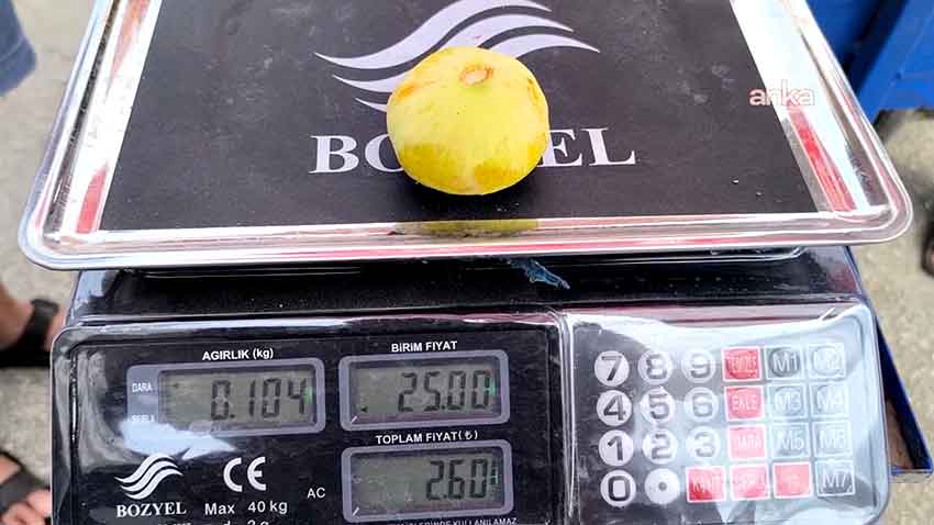 Whats App Image 2025 08 03 At 15.28.05