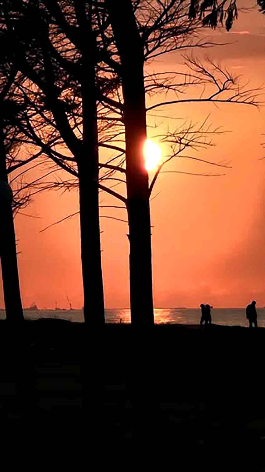 Whats App Image 2025 08 08 At 13.03.24