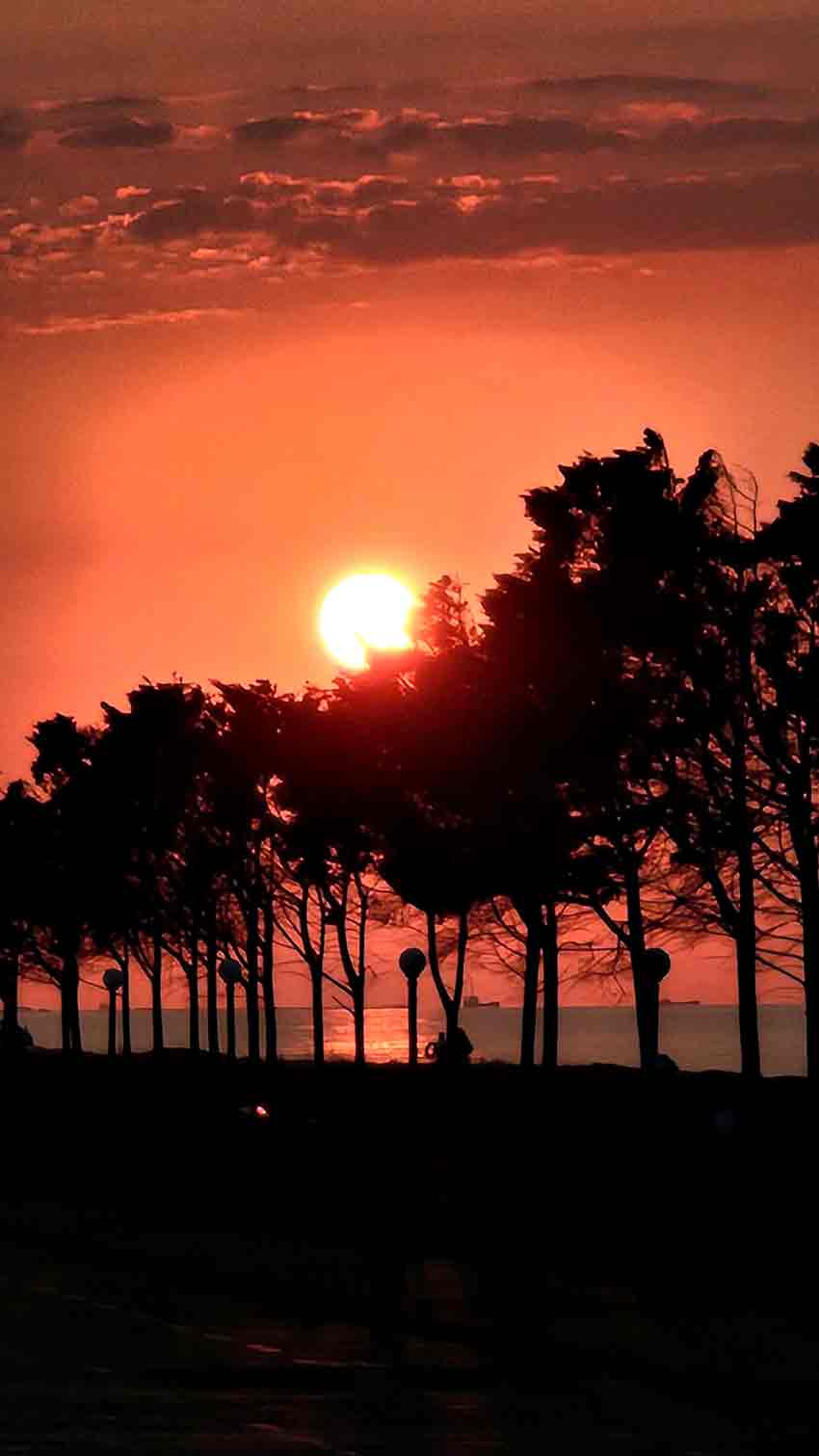 Whats App Image 2025 08 08 At 13.03.25