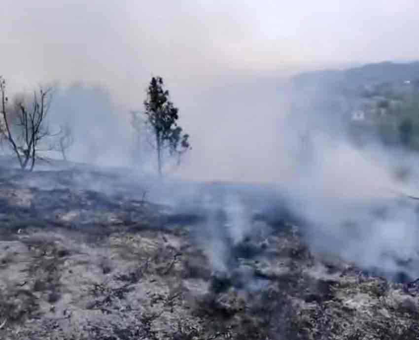 Whats App Image 2025 08 08 At 15.44.53 (1)