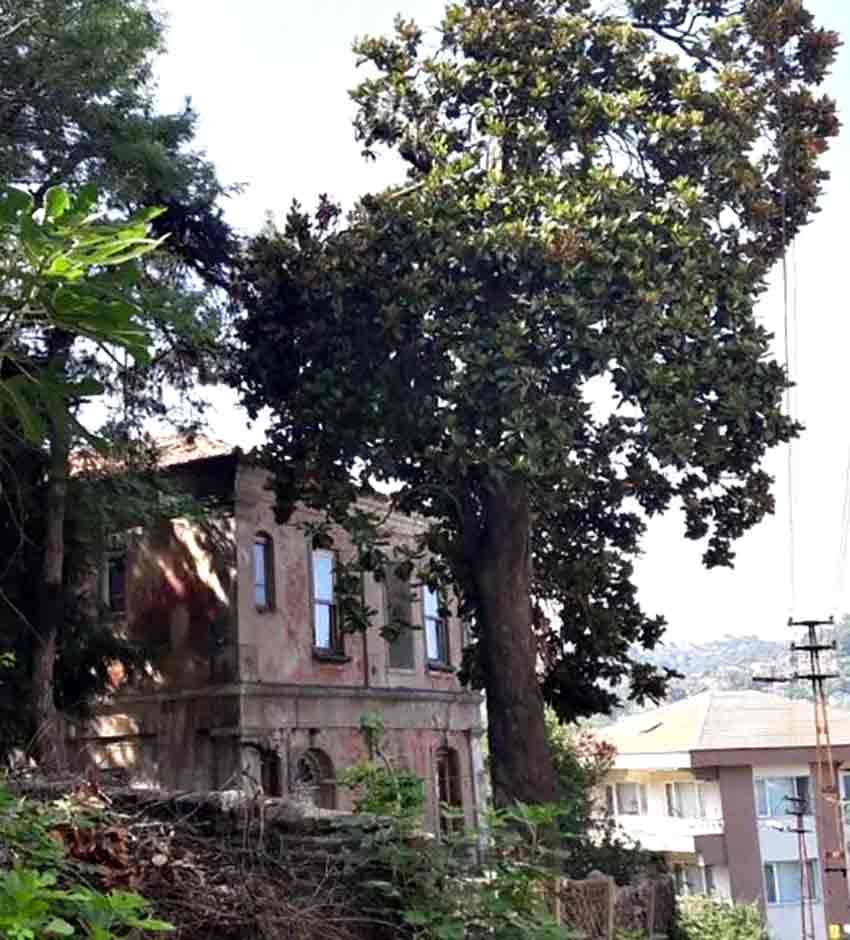 Whats App Image 2025 08 10 At 13.06.48 (1)