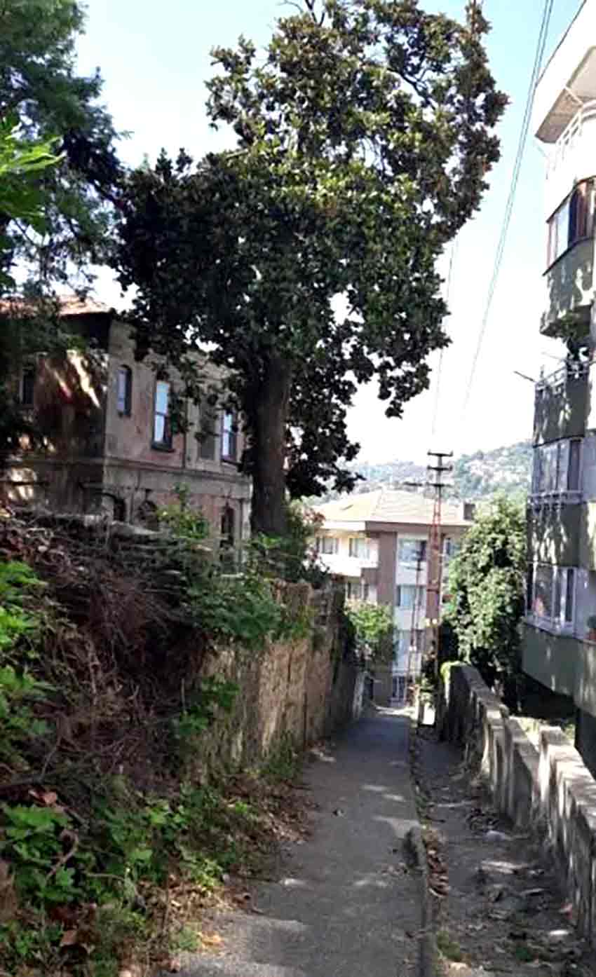 Whats App Image 2025 08 10 At 13.06.48