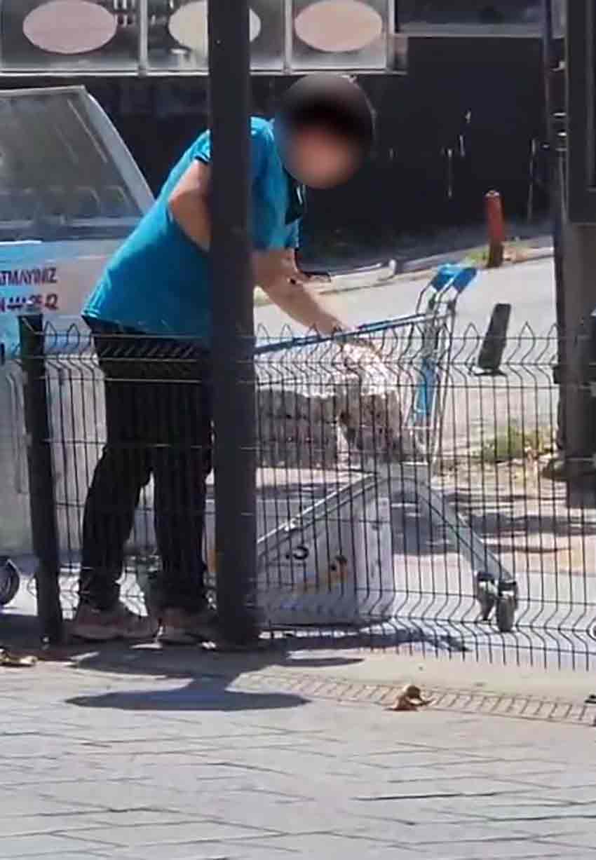 Whats App Image 2025 08 11 At 11.29.56