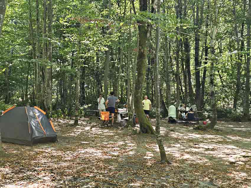 Whats App Image 2025 08 11 At 16.30.27